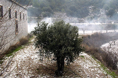 La nevada cubrió de blanco los alrededores de Alcoi, como muestra la imagen tomada en L'Estepar.