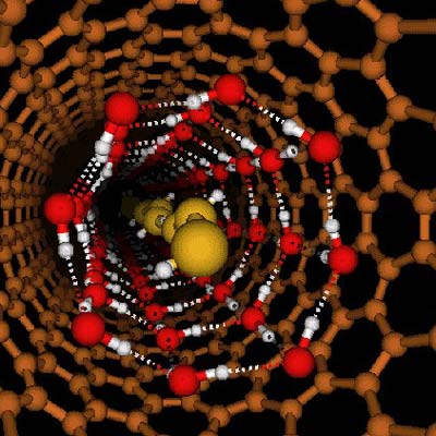 Estructura de un nanotubo con una configuración unidimensional de agua en el centro.