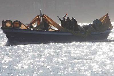 LOS REYES ILUMINAN EL MAR.