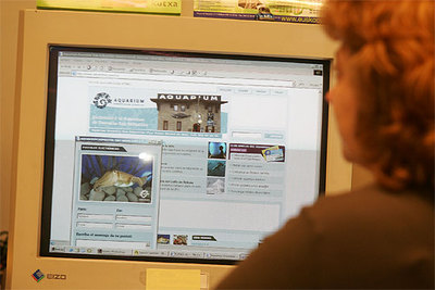 LA 'WEB' POR LA QUE NADAN LOS PECES.