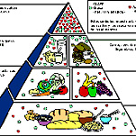 Un proyecto abordará el síndrome metabólico en los jóvenes extremeños