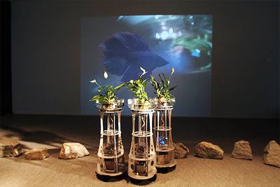 Instalación robótica interactiva de Ken Rinaldo (Estados Unidos).