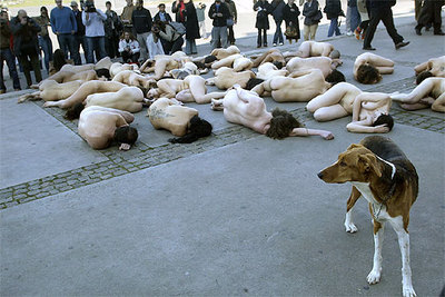 En cueros contra las pieles