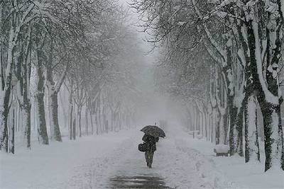 La nieve que cayó sobre Vitoria llegó a formar capas de hasta 30 centímetros de espesor.