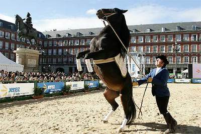 La plaza Mayor, 'salón de baile' equino.