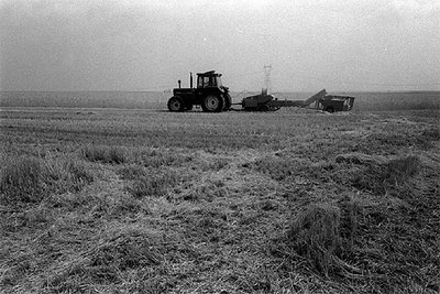 El recorte de las ayudas directas afecta negativamente a los precios de la tierra en secano.