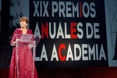 La presidenta de la Academia de Cine, Mercedes Sampietro, ha hecho en su discurso en la gala un símil entre el cine español y la novela  Don Quijote de la Mancha , del que este año se celebra el IV Centenario de su publicación, en relación a las dificultades a las que se enfrenta la gente de la industria para realizar su labor profesional.