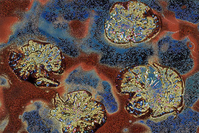 'SB ODA 1' (2003), obra de Aziz+Cucher.