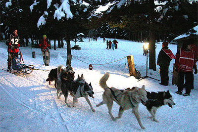 Trineos entre Almería y Granada