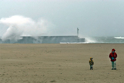 LA FUERZA DEL TEMPORAL.