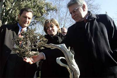 González observa uno de los bonsáis, junto al director del CSIC y la ministra de Educación.