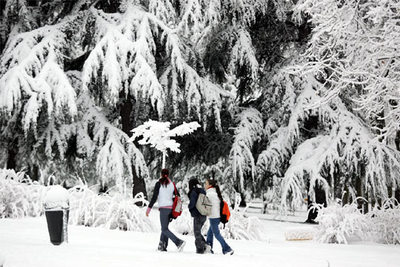 Tres jóvenes pasean por el parque de la avenida de Arcentales, en Madrid.