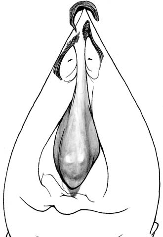 "No nos queda más remedio que plantearnos vender jugadores"