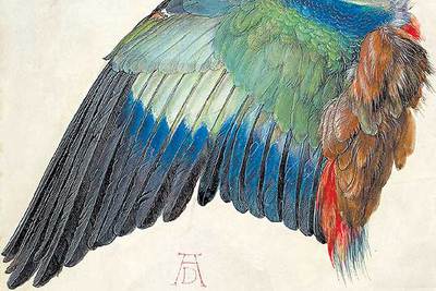 'Ala de una carraca' (1512)