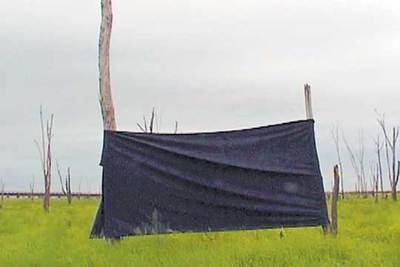 'Por qué pintar un cuadro negro', de Carlos Trilnick.