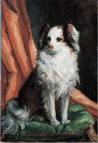  Retrato del spaniel de la infanta María Josefa de Borbón  (hacia 1763), de Giovanni Battista Tiepolo (galería Caylus).