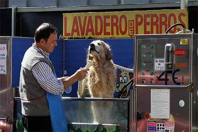 ASEO  CANINO EN PLENO CENTRO DE MADRID.