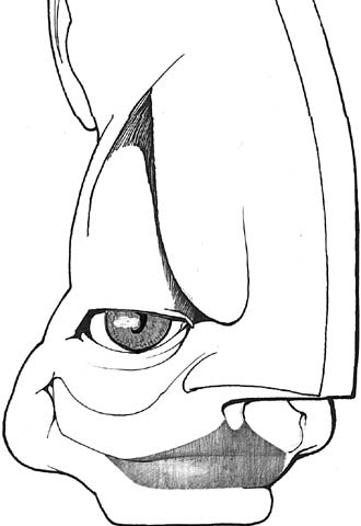 Un candidato convencido