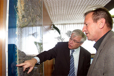 Barcelona se implica en proyectos de reconstrucción de Gaza