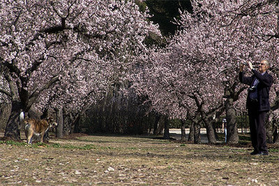 LA PRIMAVERA IRRUMPE EN LA REGIÓN.
