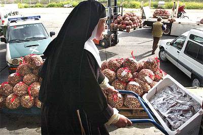 11 toneladas de inmaduros para la beneficencia