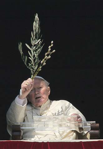 El Papa bendice a los fieles en el Domingo de Ramos