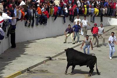 Suelta de toros con 32 heridos