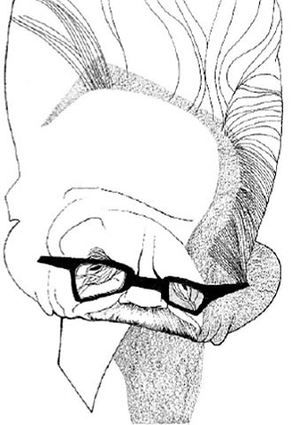 Un Canetti cotilla, malvado y deslumbrante