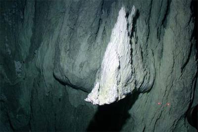 Boca parásita de un metro de altura en una chimenea de 30 metros en la Ciudad Perdida.