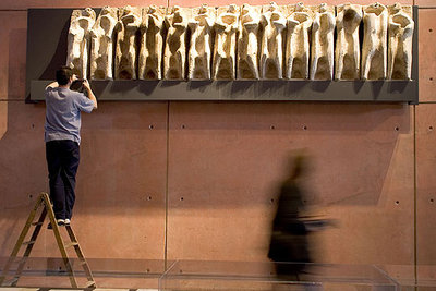 El  Friso de los apóstoles,  de Arantzazu, es colocado en la sala central del Museo Oteiza de Alzuza.