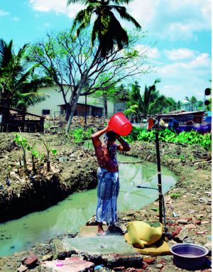 El barrio del Puerto en la ciudad de Galle. Una localidad de pescadores donde nadie quiere comer pescado: se ignora de qué se habrán alimentado.