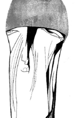 "No me frustraría no ganar un Mundial"