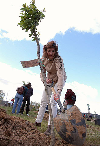 Almendros en recuerdo de las víctimas del 11-M