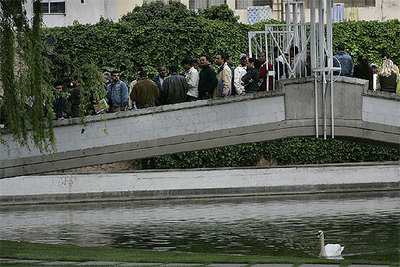 Largas colas de inmigrantes para lograr el empadronamiento por omisión
