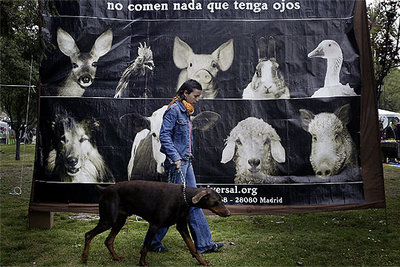 La Fira de la Terra enseña a vivir de forma sostenible