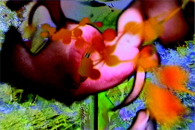 Imagen del vídeo 'I want to see how you see', de Pipilotti Rist.