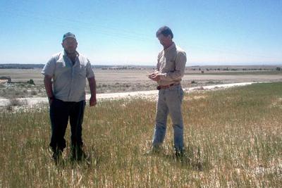 Jesús Calvo, a la izquierda, y José Ramón Agara, dos agricultores de Los Monegros, en un campo de cereal arruinado por la sequía.