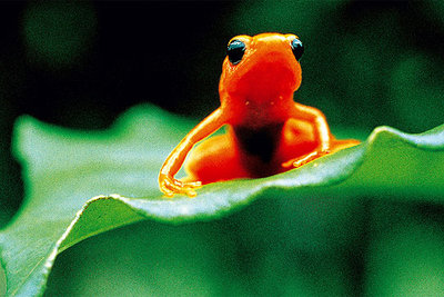 Imagen del documental  Génesis. 