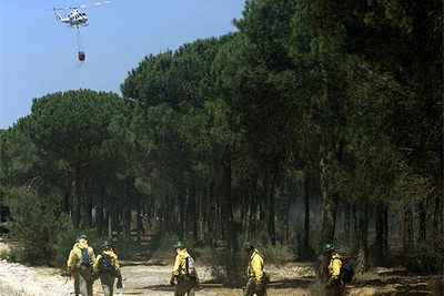Un retén del Infoca se retira de un pinar incendiado ayer en Moguer (Huelva).