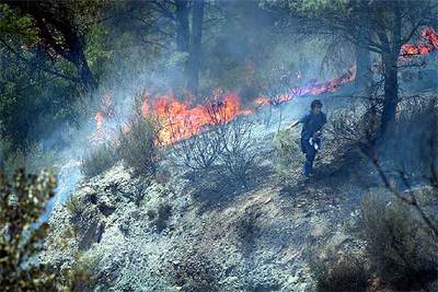 Una parte del bosque afectado por el incendio de ayer en la zona de Rocafort.rnrn JOSEP ROJAS  REGIÓ 7rnrnLabores de extinción del fuego entre La Palma y Cervelló.