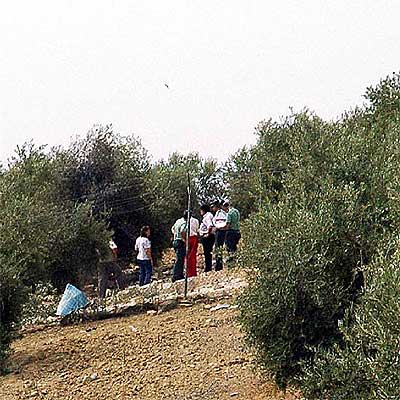 Un grupo de agentes, en el lugar donde murió ayer una persona en Porcuna.