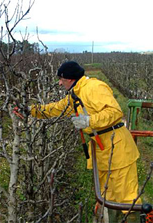 Localidad de Azuaga (Badajoz)