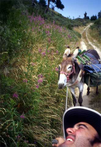 Una vista del camino, en el sur de Francia, que Stevenson recorrió en 1879 acompañado por la burra  Modestine. 