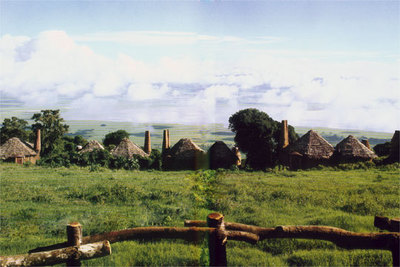En el área protegida del cráter del Ngoron-goro Tanzania), la cuenca de lo que fue el volcán está llena de vegetación. El borde del cráter se confunde con el cielo.