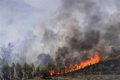 FUEGO EN VÍAS DE CONTROL EN HORCAJADA DE LA TORRE (CUENCA)