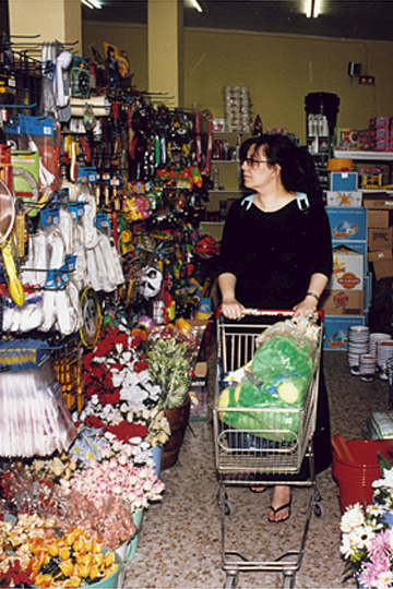 Tiendas de todo a un euro: gastar sin remordimiento