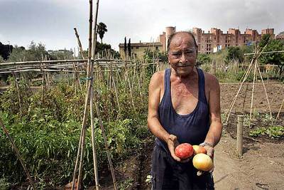 Cultivar la tierra en plena ciudad
