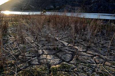 Imagen del lecho seco del pantano de Cuevas de Almanzora, en Almería, el pasado junio.