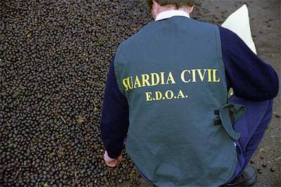 Un investigador de la Guardia Civil, en una de las explotaciones investigadas.