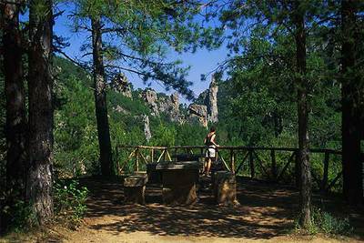 El parque natural del Alto Tajo abarca 105.721 hectáreas en un entorno de enormes rocas, pinos y buitres junto al curso del río en Guadalajara y Cuenca.